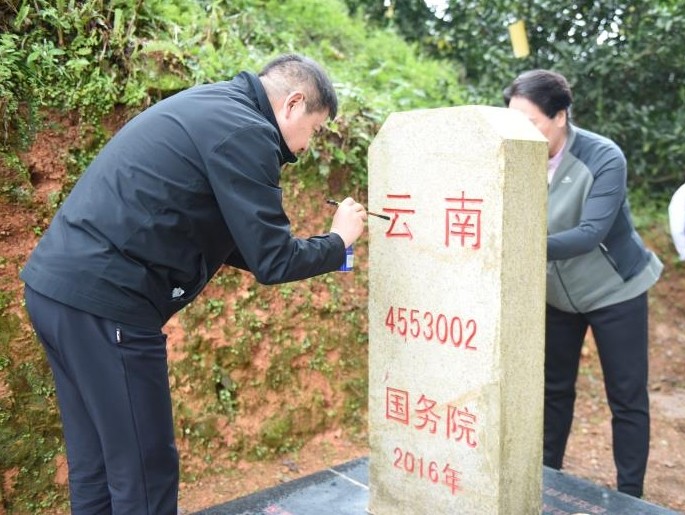 界桩维护.jpg